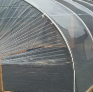 8 Metre Wide Polytunnel Sheeting - Clear UV Stabilised, 600 Gauge