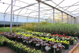 9.2 Metre Wide Large Clear Polytunnel Sheeting - UV Stabilised, 600 Gauge / 150 Micron